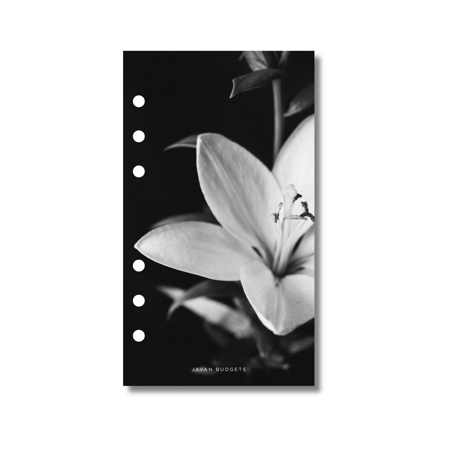 Lily Flower - A6 Personal Dashboard